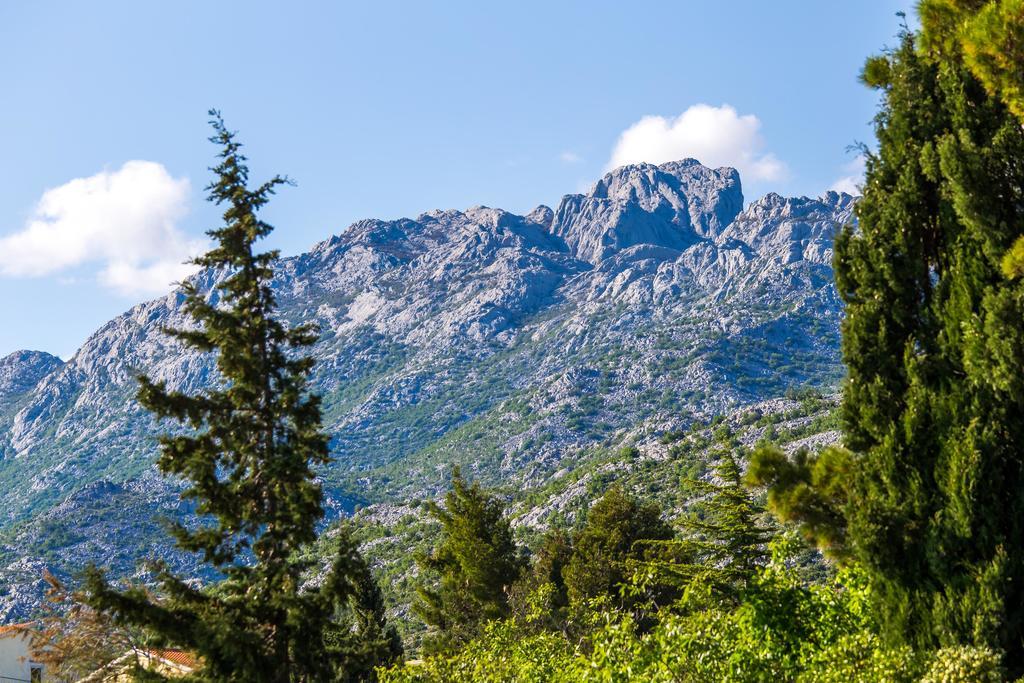 Villa Veca ستاريغغاد باكلينتسا المظهر الخارجي الصورة